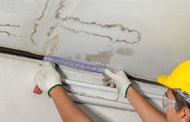 Reliable Water Removal contractor in Little Rock, AR by Water Damage Irwin
